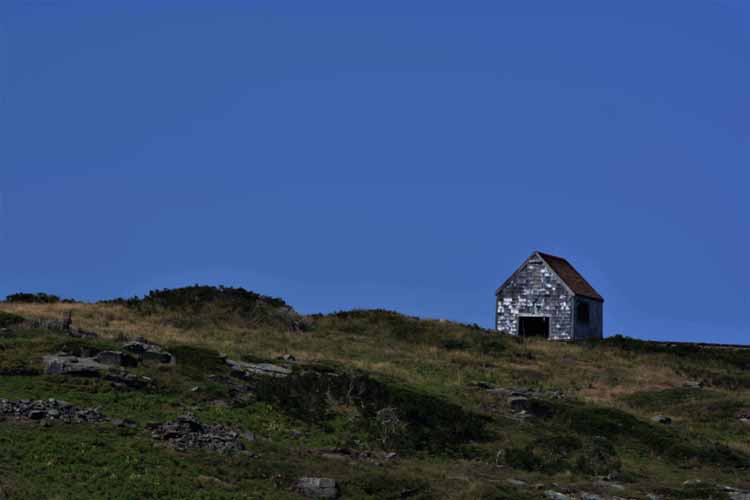 shed in field